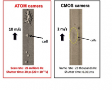 HKU advances new technology ATOM for spotting rare cancer cells and early cancer detection