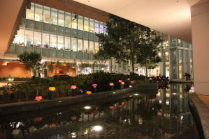 HKU Centennial Campus Sparkles as it Celebrates Thai Loy Krathong Night