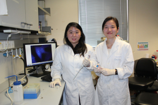 (From Left) Dr. Yau-Tsz Lai and Miss Yuen-Yan Chang.