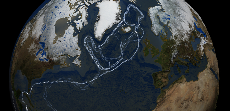 Image 1: Atlantic meridional overturning circulation. Image credit: NASA/Goddard Space Flight Center Scientific Visualization Studio (http://svs.gsfc.nasa.gov/3884)