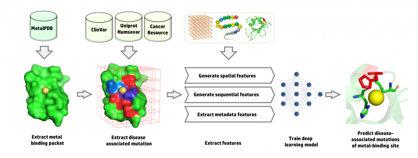 Workflow of data collection and feature extraction to train the deep learning model.