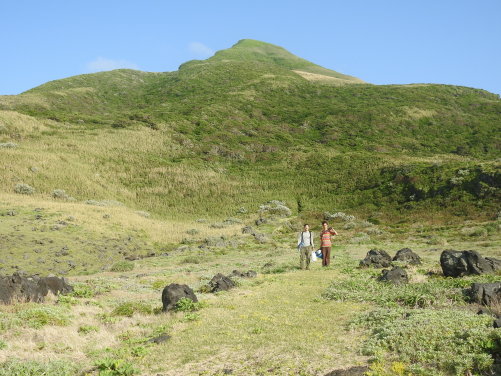 Equipment in hand, researchers return from their field site on Hachijo-Kojima to be picked up by boat. (Image credit: Masami Hasegawa)