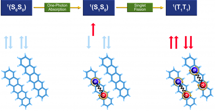 圖片1. 並五苯單線態（Pentacene dimer）裂分過程: 由光吸收產生高能單體單線態，並通過複雜的量子多體作用在相鄰的二聚體結構內裂分為一對電子自旋相反的低能三線態，從而實現光子能量下轉換，是光電材料研究的焦點。