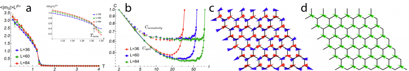 Figure 3. Monte Carlo calculations of the magnetic state in 2L NiPS3. a, Temperature dependence of the scaled Potts-nematic order parameter (〈|m)|〉). Inset: Zoom-in around nematic phase transition temperature TN, 2L=1.285J1. b, Correlation of Potts-nematicity (Cnematicity) and spin (Cspin) at a temperature T=1.25|J1|<TN,2L, as a function of distance. c, Snapshot of simulated spin configuration below TN, 2L. d, Image of simulated nematic director for the spin state in c, showing homogeneity of nematicity. (Image adapted from respective paper)