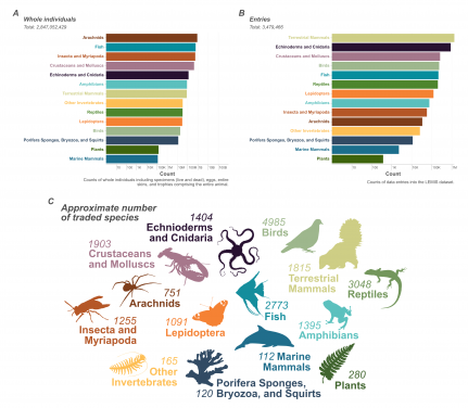 Image 2: This graphic illustrates data from LEMIS on wildlife in trade in the United States, showing the number of individuals traded for each animal group. Image adapted from the journal paper The magnitude of legal wildlife trade and implications for species survival (PNAS, 2025).
 